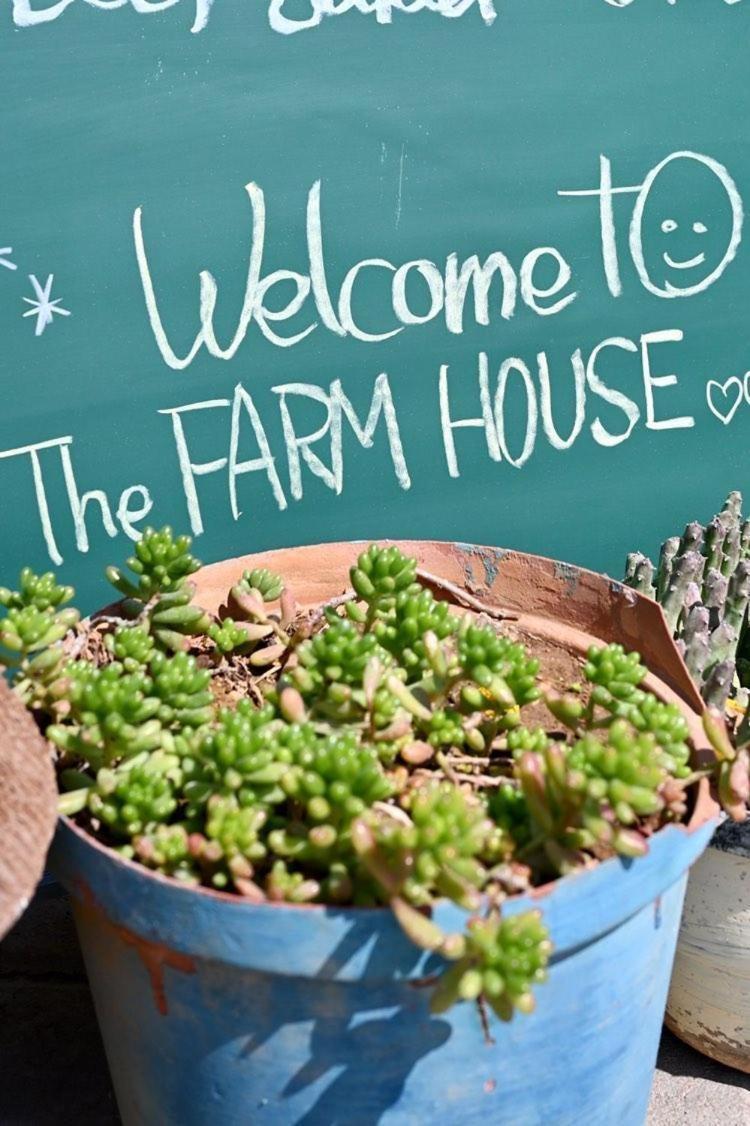 The Farmhouse Boutique Guesthouse And Beergarden Cc Оучо Экстерьер фото